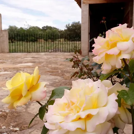 Mas De Sant Pau - Turistrat. Casa di campagna Albocácer